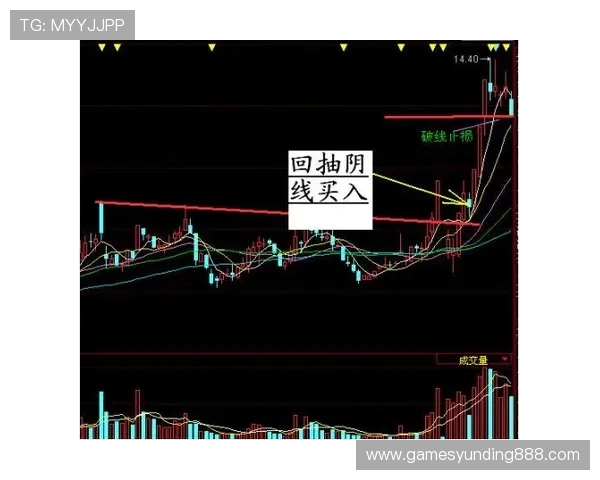 特码开奖结果最新公布，详细数据分析与走势图解读帮助玩家精准把握中奖机会